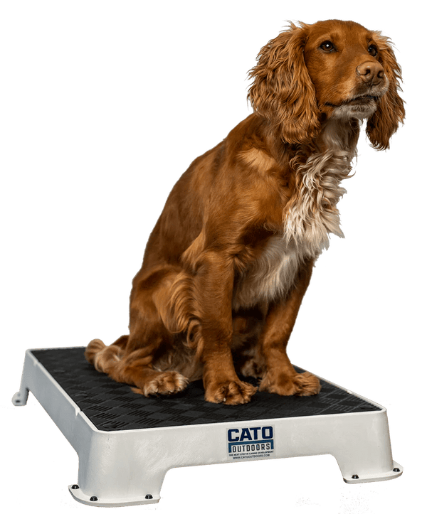 Cato Board Dog Training Platform