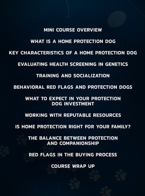 Protection Dog Blueprint: Your Ultimate Guide To Choosing a Home Guardian by Amanda Caldron