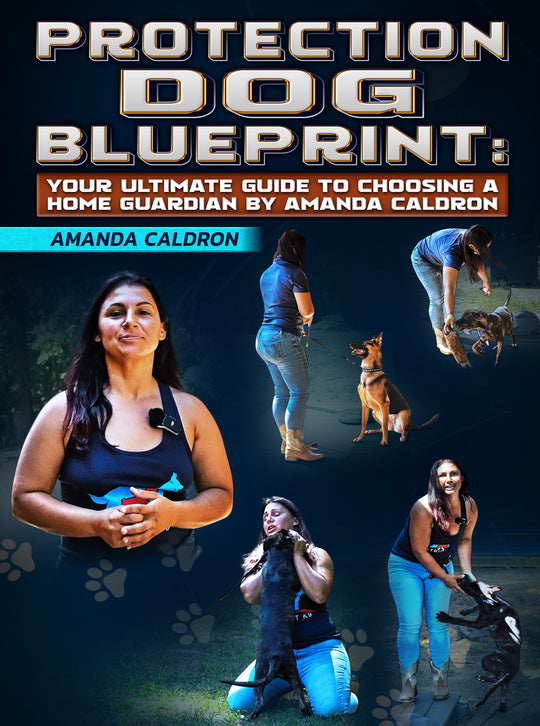 Protection Dog Blueprint: Your Ultimate Guide To Choosing a Home Guardian by Amanda Caldron