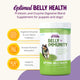 BELLY + IMMUNITY DIGESTIVE PROBIOTIC SUPPLEMENT 8OZ