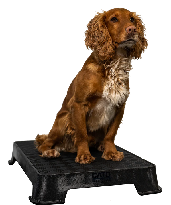 Cato Board Dog Training Platform
