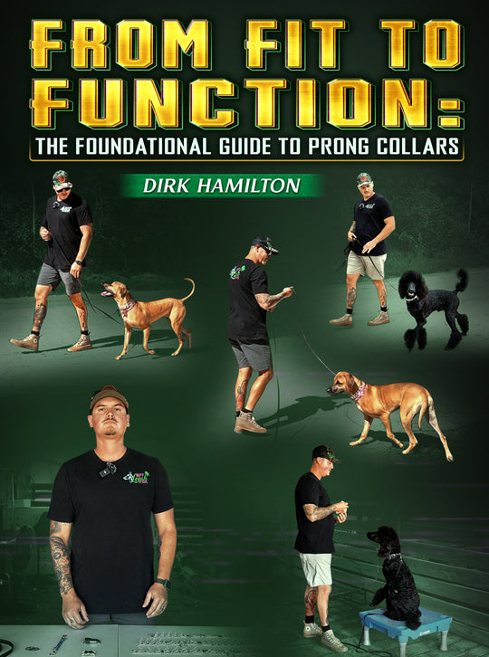 From Fit to Function by Dirk Hamilton