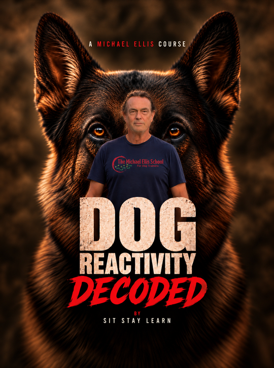 Dog Reactivity Decoded by Michael Ellis