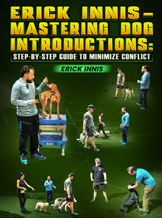 Mastering Dog Introductions: Step-by-Step Guide To Minimize Conflict by Erick Innis