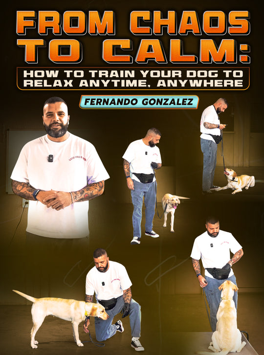 From Chaos To Calm: How To Train Your Dog To Relax Anytime, Anywhere by Fernando Gonzalez