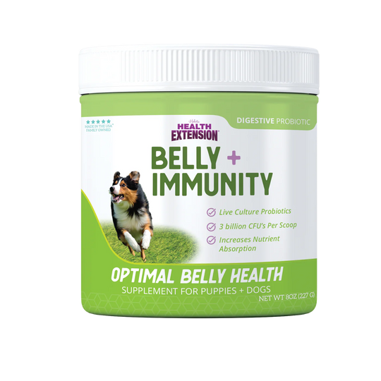 BELLY + IMMUNITY DIGESTIVE PROBIOTIC SUPPLEMENT 8OZ