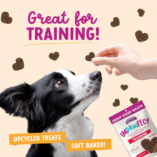 IMPAWFECT BACON TRAINING TREATS 4OZ