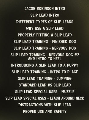 Follow The Leader: Slip Lead Training Simplified by Jacob Robinson