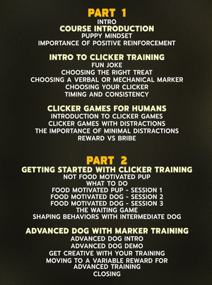 Puppy Perfection: The Art of Clicker Training by Jacob Robinson