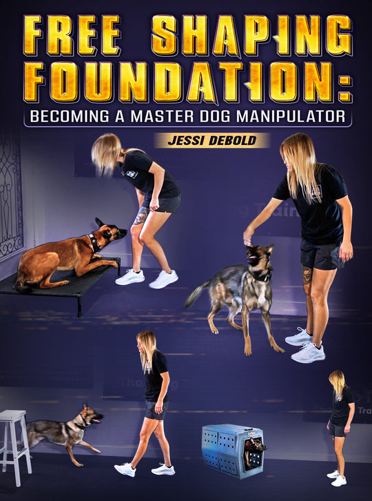 Free Shaping Foundation by Jessi Debold