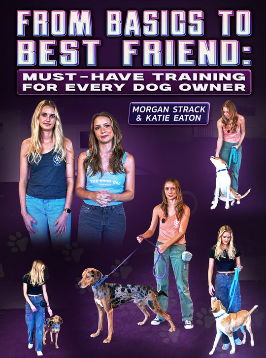 From Basics to Best Friend by Morgan Strack & Katie Eaton