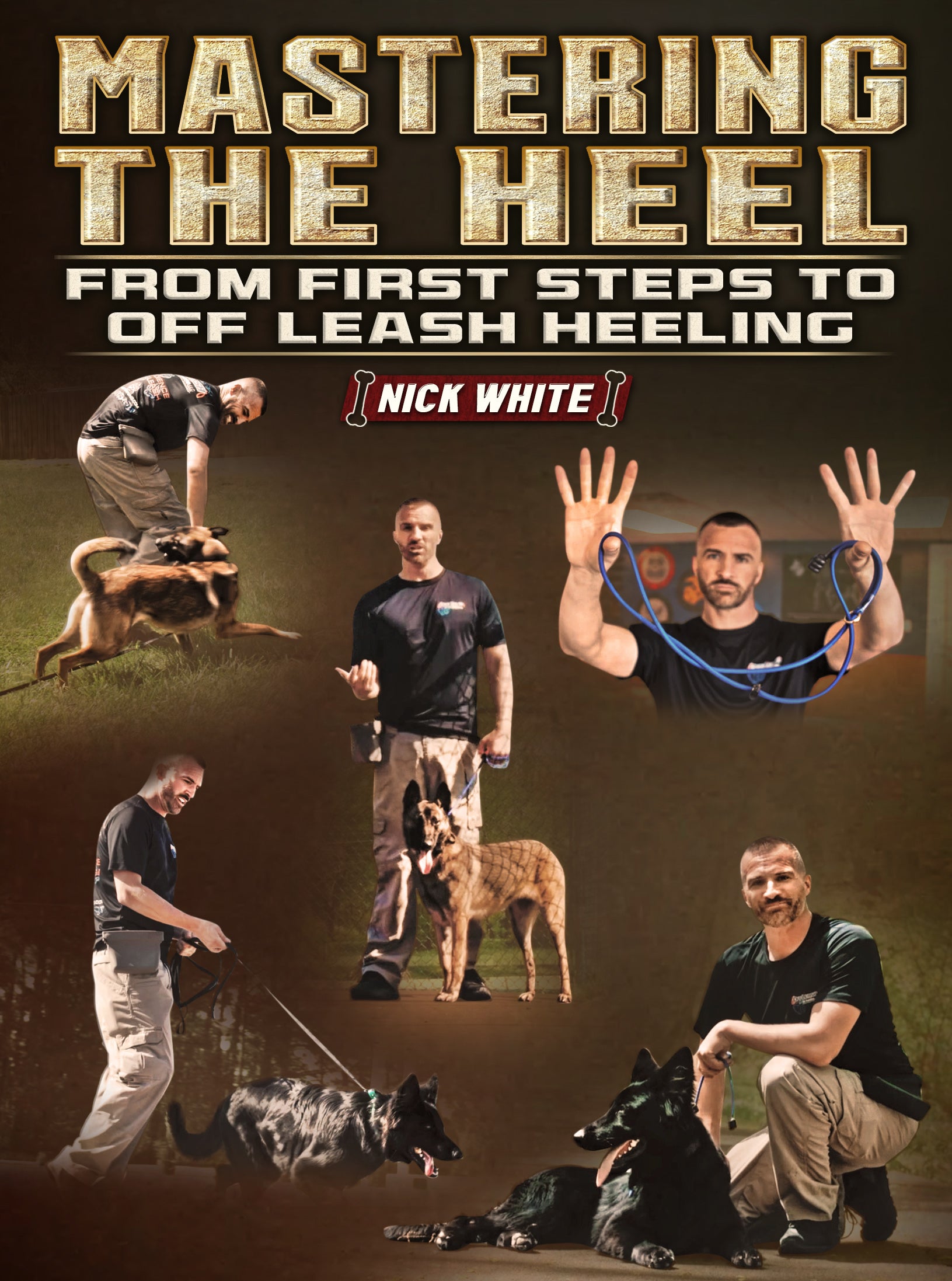 Mastering The Heel From First Steps To Off Leash Heeling by Nick Whit Sit Stay Learn