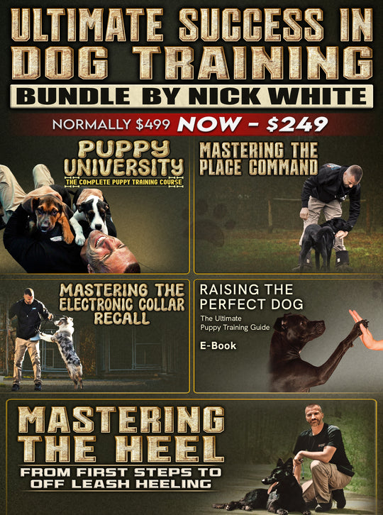 The Ultimate Success In Dog Training Bundle by Nick White