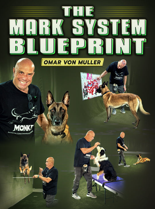 The Mark System Blueprint by Omar Von Muller