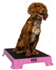 Cato Board Dog Training Platform