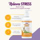 APPETITE + ENERGY STRESS RELIEF SUPPLEMENT 4 oz