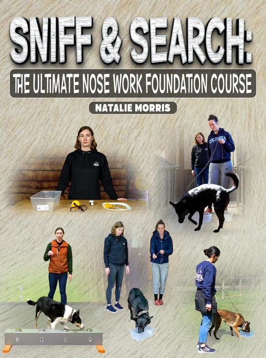 Sniff and Search: The Ultimate Nose Work Foundation Course by Natalie Morris