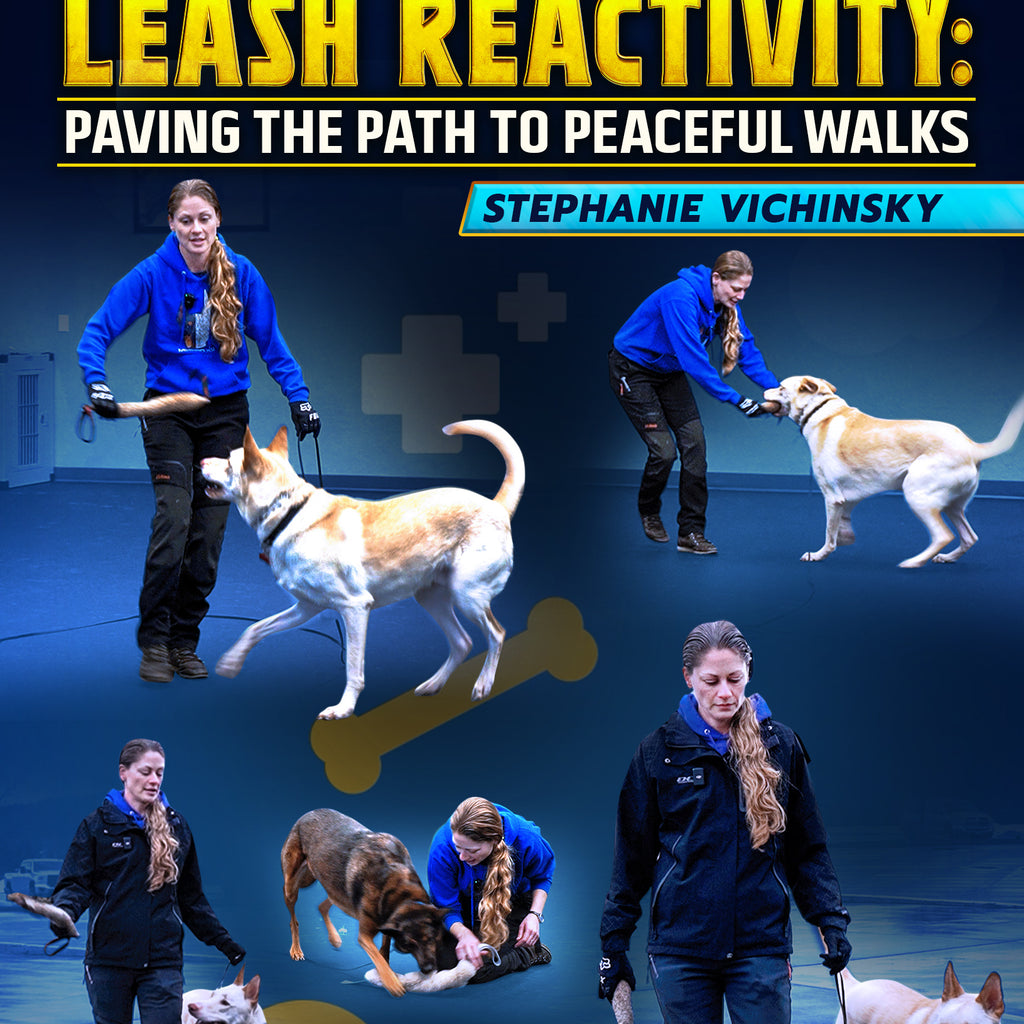 Leash My Dog Barks At My Other Dog Leash How Do I Get My Dog To