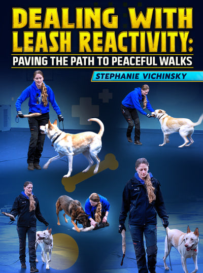 Dealing With Leash Reactivity: Paving The Path To Peaceful Walks by Stephanie Vichinsky