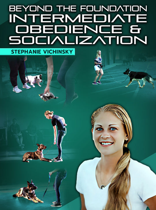 Beyond The Foundation: Intermediate Obedience & Socialization by Stephanie Vichinsky