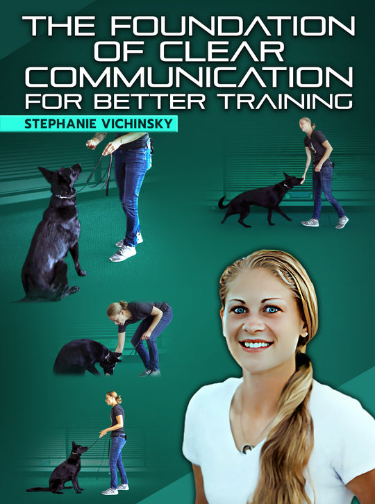 The Foundation of Clear Communication For Better Training by Stephanie Vichinsky