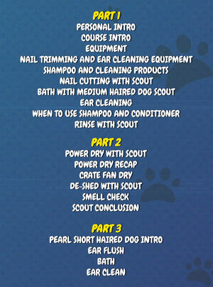 The Viral Bath & Deshed Method with Kyle Hinshaw